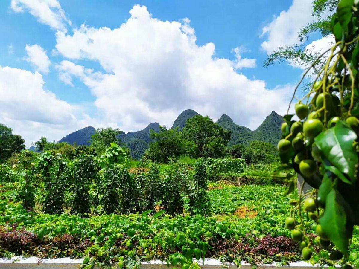 Yangshuo Coco Garden Hotel Екстер'єр фото